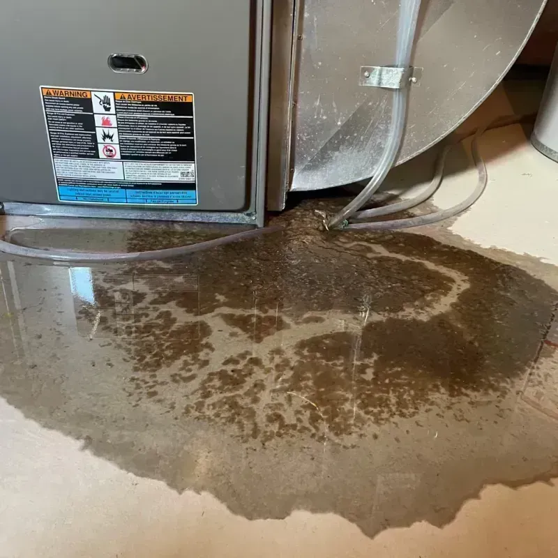 Appliance Leak Cleanup in Holbrook, AZ